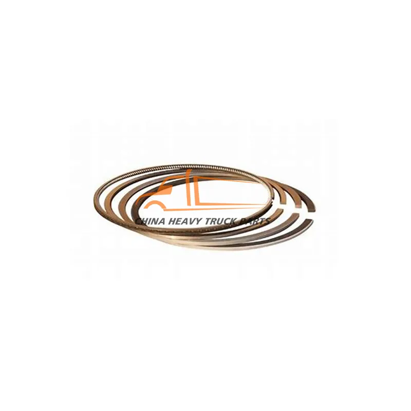 092V02503-6002 Set Of Piston Rings