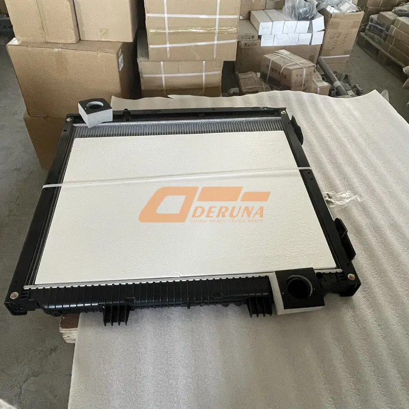 812W06100-0003 Center Radiator Assembly