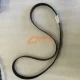 8PK1725 Belt