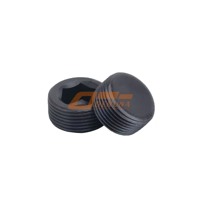 DG958-07010 Plug