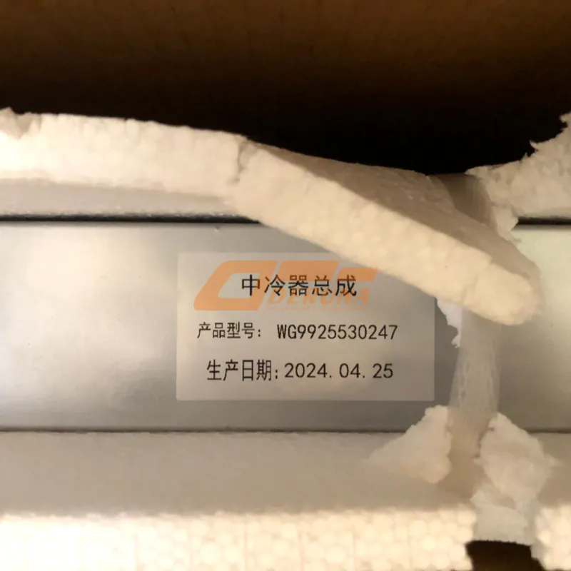WG9925530247 Intercooler